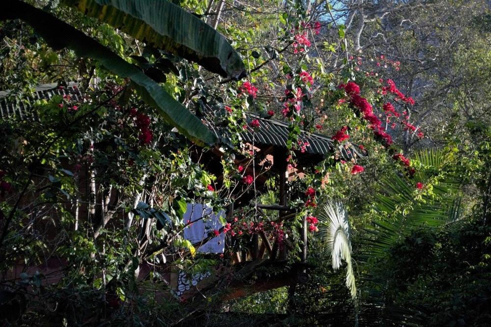 Mariri Jungle Lodge Alto Paraíso de Goiás Buitenkant foto