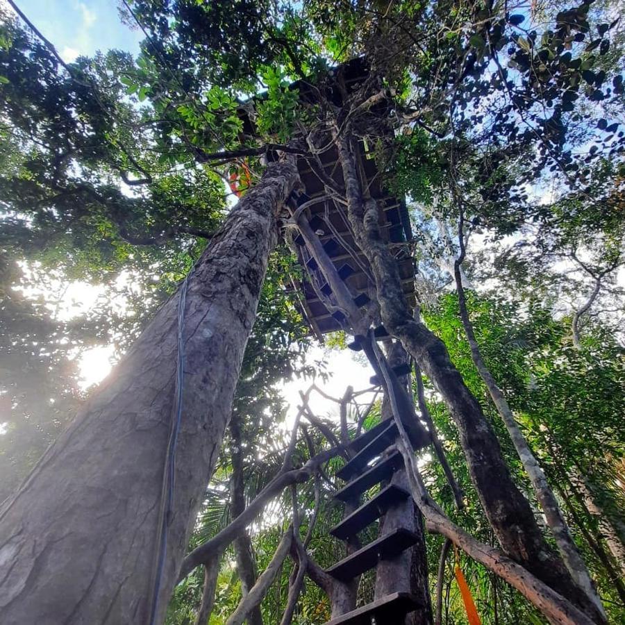 Mariri Jungle Lodge Alto Paraíso de Goiás Buitenkant foto
