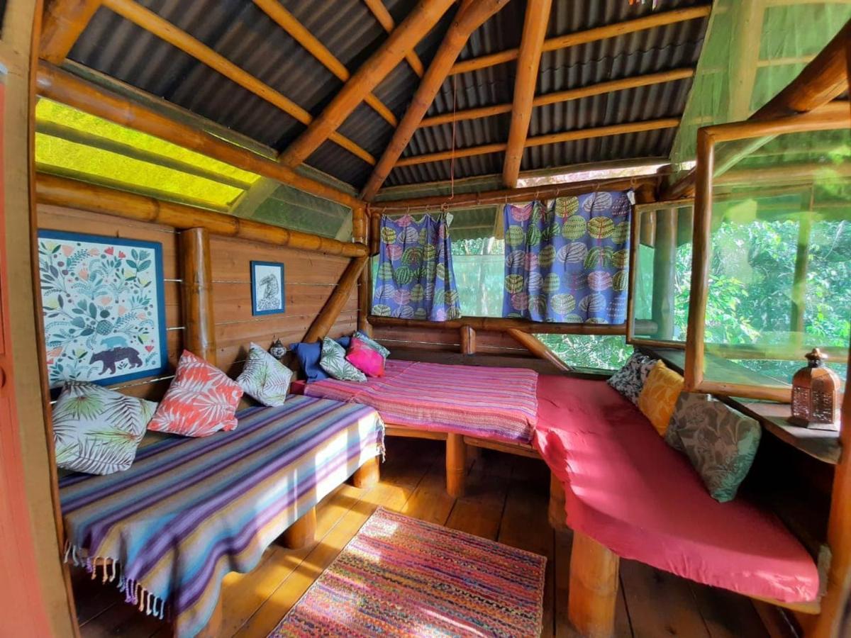 Mariri Jungle Lodge Alto Paraíso de Goiás Buitenkant foto