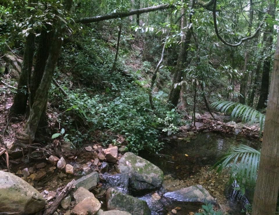 Mariri Jungle Lodge Alto Paraíso de Goiás Buitenkant foto