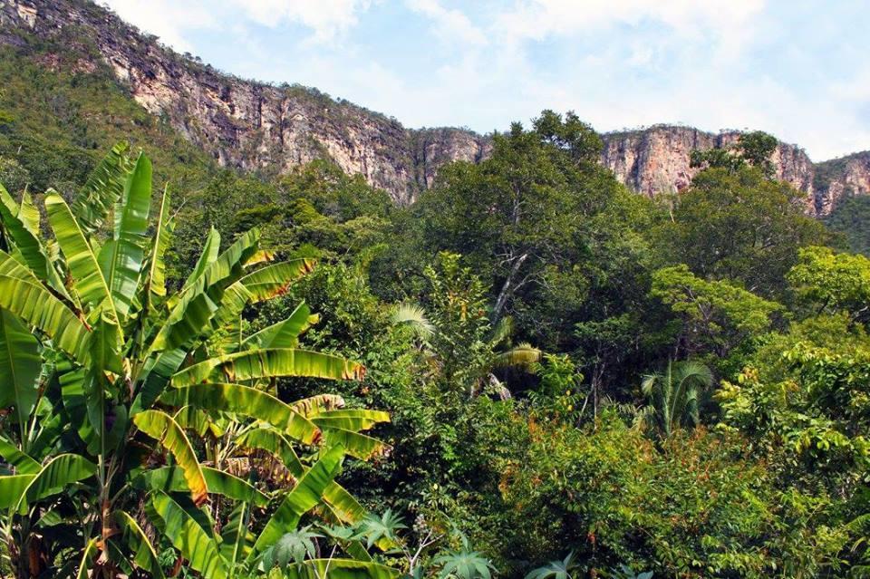 Mariri Jungle Lodge Alto Paraíso de Goiás Buitenkant foto
